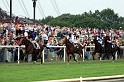 Ascot Renntag09   026